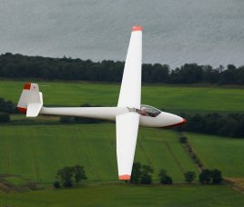 Std Libelle